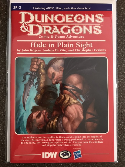 Dungeons & Dragons Comic & Game Adventure Campaign Hide in Plain Sight IDW
