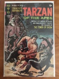 Tarzan Comic #204 Gold Key 1971 Bronze Age Painted Cover George Wilson ER Burroughs 15 Cents