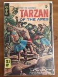 Tarzan Comic #190 Gold Key 1970 Bronze Age Painted Cover George Wilson ER Burroughs 15 Cents