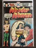Wonder Woman Comic #221 DC Comics 1976 Bronze Age Cover By Ernie Chan