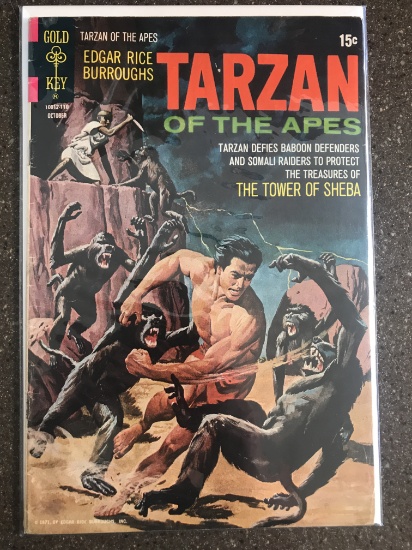 Tarzan of the Apes Comic #204 Gold Key 1971 Bronze Age 15 Cents Edgar Rice Burroughs Painted Cover