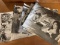 Set of 10 Large Photo Stills For The Roots of Heaven 1958 Errol Flynn Orson Welles 11x14