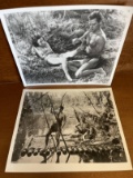 2 Tarzan Photo Stills Johnny Weissmuller Maureen OSullivan 1932 The Ape Man & The Huntress