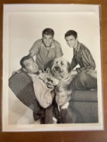My Three Sons Press Release and Photo Still 1960 Fred MacMurray Co-Stars ABC-TV 8x10