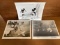 3 Items Vintage Walt Disneys Publicity Photos 8 x 10 BW Mickey Mouse in Camping Out Donald Duck in D