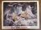 Vintage Walt Disneys Snow White and the Seven Dwarfs Movie Lobby Card for the Films Re-Release in Th