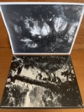 Two Reprint Photo Stills From KING KONG 1933 RKO Pictures 8x10