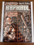 Very Rare! RAPHAEL Comic #1 Mirage Teenage Mutant Ninja Turtles Key 1st Appearance of Casey Jones