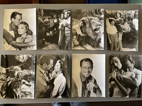 (10) 1962 "The Lion" Movie Stills