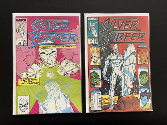 2 Issues Silver Surfer Comic #20 & #21 Marvel Comics Copper Age Comics
