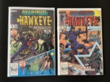 2 Issues Solo Avengers Comic #19 & #20 Marvel Comics Copper Age Series
