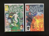 2 Issues Silver Surfer Comic #5 & #6 Marvel Comics Copper Age Comics