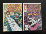2 Issues Silver Surfer Comic #22 & #23 Marvel Comics Copper Age Comics