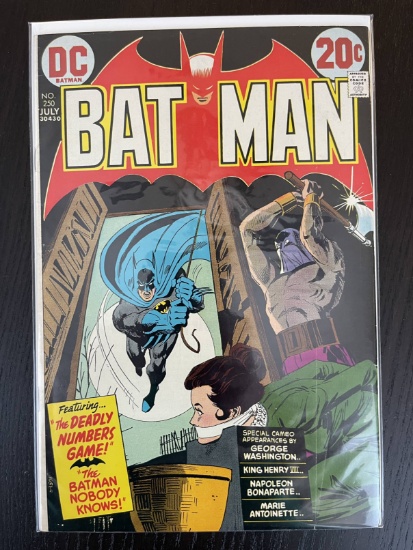 Batman Comics #250 DC Comics 1973 Bronze Age 20 Cents The Batman Nobody Knows Dick Giordano