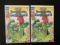 2 Issues Teenage Mutant Ninja Turtles Presents Donatello and Leatherhead #2 Archie Comics
