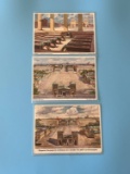 (3) Nazi Color Postcards of Honor Temple