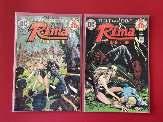 2 Issues Rima the Jungle Girl #2 & #3 DC Comics Bronze Age
