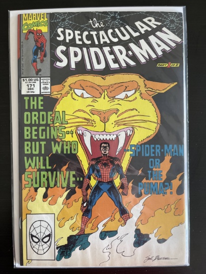 The Spectacular Spider-Man Comic #171 Marvel