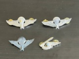 Lot of ARVN Vietnam War Wings