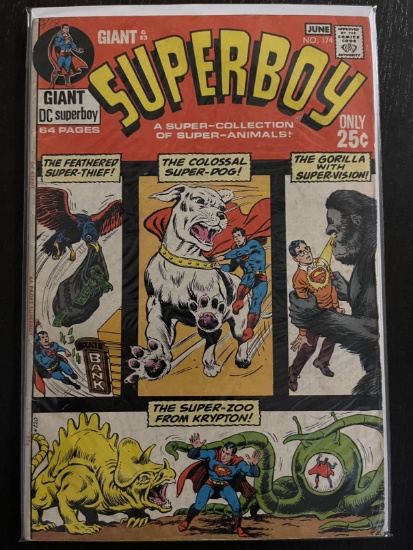 Superboy Legion of Super-Heroes Comic #174 DC Comics 1972 Bronze Age 25 Cents Curt Swan Otto Binder