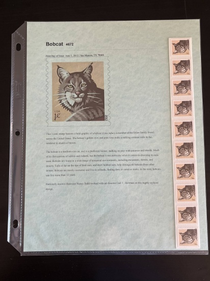 25 Bobcat Mint Roll of 25 2012 USA 1 Cent Stamps with Collector Sheet