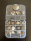 Collection of Fossilized Sea Shells