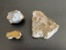 (3) Old Collection Petrified Wood Specimens