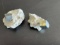 (2) Cubic Pyrite Specimens in Matrix