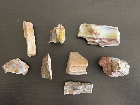 (8) Pieces of AZ Petrified Wood