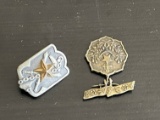 (2) WWII Japanese Veterans Pins