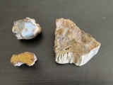 (3) Old Collection Petrified Wood Specimens