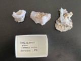 (3) Chalcedony Rock Specimens From Arizona