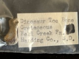 Dinosaur Toe Bone Fossil - Harding Co., SD