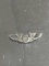 WWII Era Sterling Silver Flight Wings