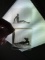 Group of (3) 1950's Nude Model Negatives
