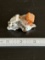 Beautiful Wulfenite Specimen From Mexico.