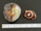 (2) Face Polished Agate Specimens. Great looking.