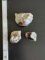 (3) Specimens of Opalized 
