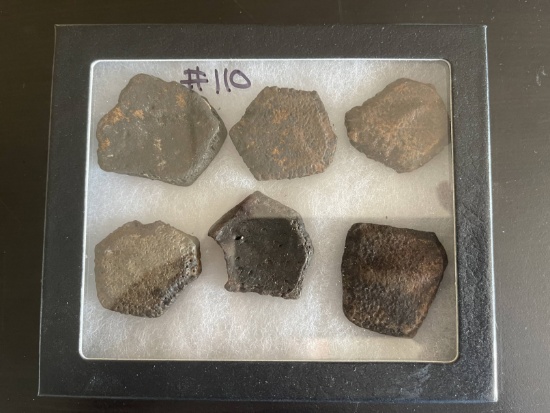 Fossil Turtle with Armadillo Plates / Bones