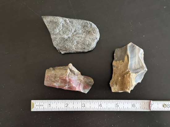 (3) Pieces of Petrified Wood. Some agatization.