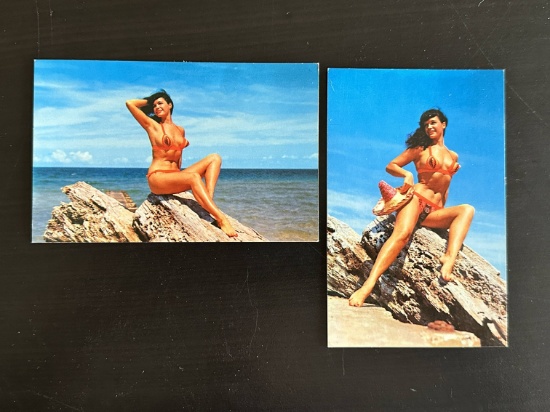 (2) Vintage Bettie Page Color Postcards.