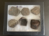 Fossil Turtle with Armadillo Plates / Bones