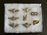 Collection of Vietnam War Airborne Wings, Etc.