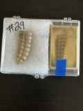 (2) Antique Rattlesnake Rattles - Diamonback.