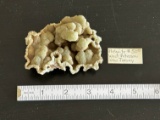 Large Prehnite Plate Rock/Mineral Specimen (N.J.).