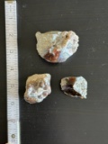 (3) Specimens of Opalized 