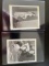 (2) Original 1950 s Irving Klaw Tempest Storm Pin-Up Photos