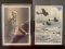 (2) WWII German Propaganda Postcards