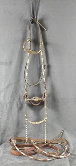 Fleming Bridle With Bit