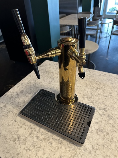 Gold 2 Tap Draft Beer Dispenser